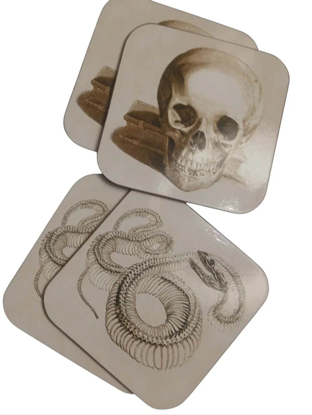 Williams-Sonoma Illustrated Coasters Sepia-Toned Artwork Anatomical Design